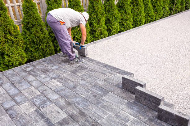 Best Driveway Repair Near Me  in Needville, TX